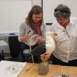 Two women vacuum cleaning a stuffed seagull.